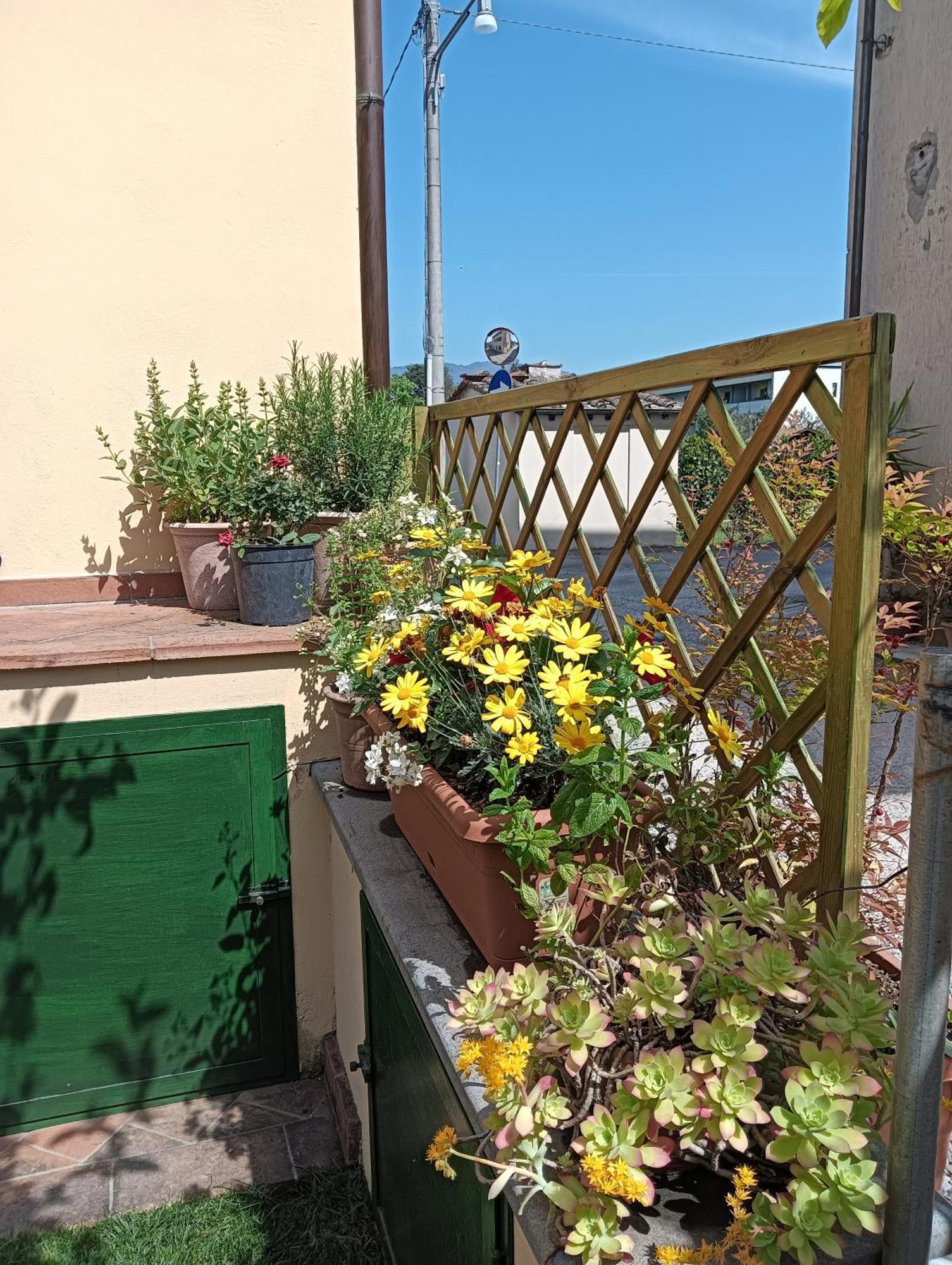 Casa Vacanze Rustico Di Corte كابانّوري المظهر الخارجي الصورة