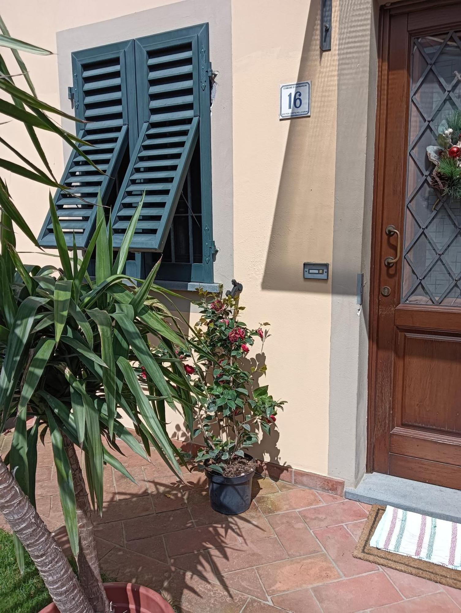 Casa Vacanze Rustico Di Corte كابانّوري المظهر الخارجي الصورة